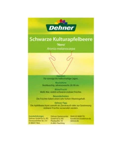 Apfelbeere, Aronia 'Nero' -Gartenleben Verkauf 00000000 Aronia melanocarpa Nero 2016 2