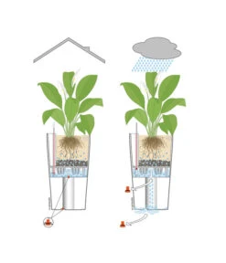 LECHUZA® CUBICO Color, All-in-One-Set -Gartenleben Verkauf 001 InOutdoorLechuza