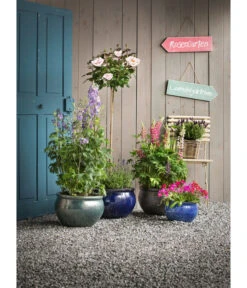 Dehner Keramik-Topf Bavaria, Bauchig -Gartenleben Verkauf 1507698 WE MO 006 KeramikPflanztopfBavariaglasiert