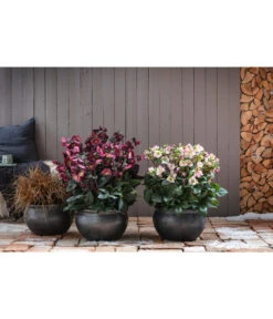 Dehner Keramik-Topf Bavaria, Bauchig -Gartenleben Verkauf 167510 167544 167643 WE MO 004 KeramikPflanztopfBavariaglasiert