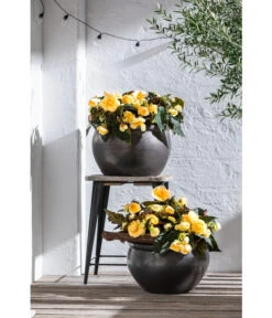 Dehner Keramik-Topf Bavaria, Bauchig -Gartenleben Verkauf 167510 167544 167643 WE MO 005 KeramikPflanztopfBavariaglasiert