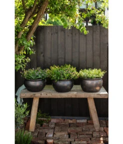 Dehner Keramik-Topf Bavaria, Bauchig -Gartenleben Verkauf 167510 167544 167643 WE MO 006 KeramikPflanztopfBavariaglasiert