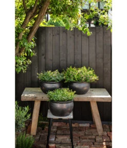 Dehner Keramik-Topf Bavaria, Bauchig -Gartenleben Verkauf 167510 167544 167643 WE MO 007 KeramikPflanztopfBavariaglasiert