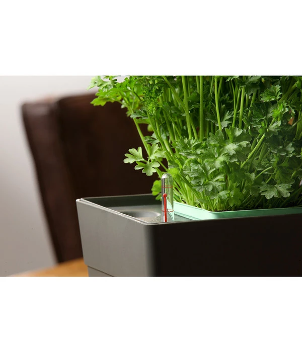 GREENBAR® Kräuterkasten, Ca. B48/H15,5/T16 Cm 10 GREENBAR® Kräuterkasten, Ca. B48/H15,5/T16 Cm – Bild 8