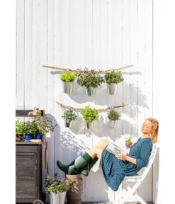 Dehner Gourmet Garten Zitronenmelisse -Gartenleben Verkauf 20181011 PR MO 003 Kraeuter 01