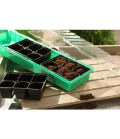 Dehner Zimmergewächshaus Frans, 54 X 15 X 12 Cm -Gartenleben Verkauf 207456 BildM 001 RombergZimmergewaechshausFransFensterbGewH54X15x12