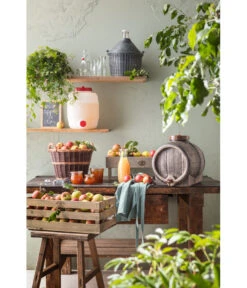 Glasballon Im Kunststoff-Schutzkorb -Gartenleben Verkauf 207704 207712 207720 207738 207787 WE MO 001 GlasballonKunststoffSchutzkorb