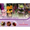 Thompson & Morgan Samen 'Wildblumen-Collection' -Gartenleben Verkauf 2531705 WE FS 001 ThompsonMorganWildblumenCollection