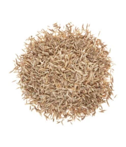 Wolf-Garten Wolf Premium-Rasen Supra -Gartenleben Verkauf 2682078 BildD 001 RasenSaatgutWolfPremiumRasenSupraPremiumRasenSupra25Qm