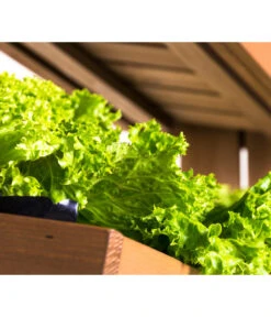 Hecht Hochbeet Cube 4, Ca. B82/H145/T50 Cm -Gartenleben Verkauf 3060399 WE DE 003 HechtHochbeetCube4NEU