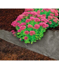 Dehner Rindenmulch-Unterlage, Ca. L300/B200 Cm -Gartenleben Verkauf 3079696 WE MO 004 RindenmulchUnterlageMulchunterlageWurzelsperre