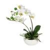 Dehner Kunstpflanze Mini-Orchidee Phalaenopsis, Weiß 2 Dehner Kunstpflanze Mini-Orchidee Phalaenopsis, Weiß -Gartenleben Verkauf 3134897 WE FS 001 DPIPhalaenopsis25cm