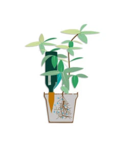 Bio Green Tonkegel Hydro Wine -Gartenleben Verkauf 3207032 WE DE 001 BioGreenTonkegelHydroWineUrlaubsbewaesserung