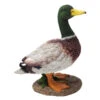 Dehner Polyresin-Ente -Gartenleben Verkauf 3254794 WE FS 002 DehnerPolyresinEnte