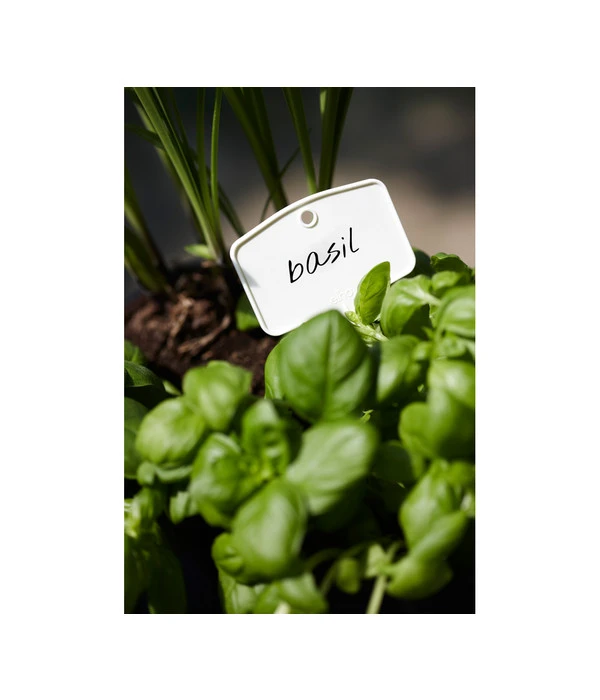 Elho Pflanz-Stift, 5 Stück 5 Elho Pflanz-Stift, 5 Stück – Bild 3