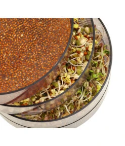 Dehner Sprossenhaus, 4 Schalen -Gartenleben Verkauf 3677101 WE MO 002 DehnerSprossenhausKeimsprossen