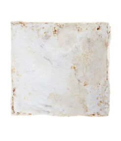 Pilzmännchen Bio Pilzzuchtset Austernpilz -Gartenleben Verkauf 3940285 BildD 002 PilzmaennchenBioHomePilzzuchtsetAusternpilzPilzbrutAusternpilzSet