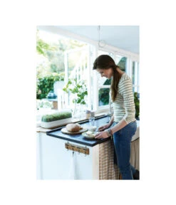 Elho Anzuchthaube L 7 Elho Anzuchthaube L -Gartenleben Verkauf 4026704 WE MO 001 AnzuchthausLTransparentElho