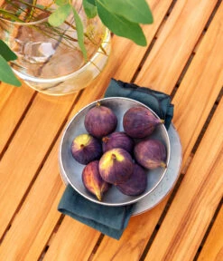 Dehner Aluminium-Lounge Malibu, 2-teilig 19 Dehner Aluminium-Lounge Malibu, 2-teilig -Gartenleben Verkauf 4209870 WE DE 006 LoungeMalibuNEU