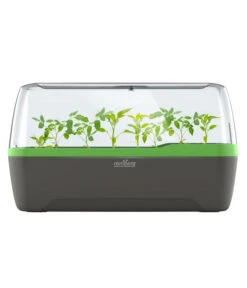 Romberg BoQube Gewächshaus -Gartenleben Verkauf 4299970 WE FS 005 RombergGewaechshausZimmergewaechshausAnzucht