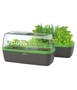 Romberg BoQube Gewächshaus -Gartenleben Verkauf 4299970 WE FS 006 BoQubeGewaechshausZimmergewaechshaus