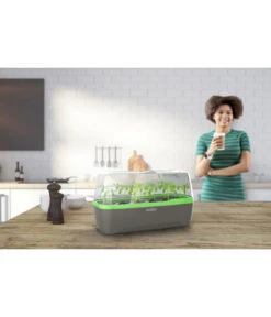 Romberg BoQube Gewächshaus -Gartenleben Verkauf 4299970 WE MO 001 RombergGewaechshausZimmergewaechshausAnzucht