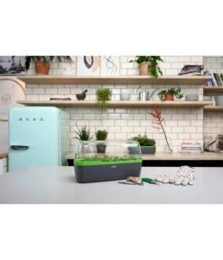 Romberg BoQube Gewächshaus -Gartenleben Verkauf 4299970 WE MO 002 BoQubeGewaechshausZimmergewaechshaus