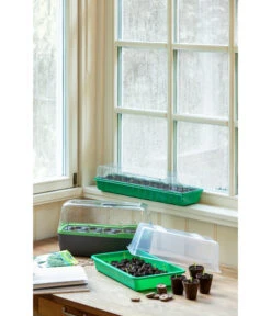 Romberg BoQube Gewächshaus -Gartenleben Verkauf 4299970 WE MO 004 BoQubeZimmergewaechshaus 1