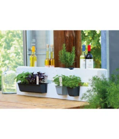 Geli Kunststoff-Pflanzkasten Easy 11 Geli Kunststoff-Pflanzkasten Easy -Gartenleben Verkauf 4314415 4314472 4314530 WE MO 003 GeliKunststoffTopfEasyBlumentopfPflanztopfPalettentopf