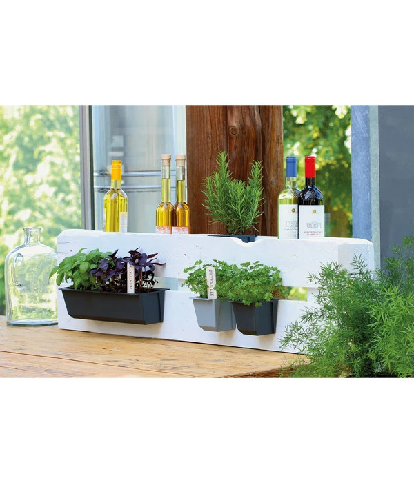 Geli Kunststoff-Pflanzkasten Easy 6 Geli Kunststoff-Pflanzkasten Easy – Bild 4