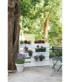 Geli Kunststoff-Pflanzkasten Easy 12 Geli Kunststoff-Pflanzkasten Easy -Gartenleben Verkauf 4314415 4314472 4314530 WE MO 005 GeliKunststoffTopfEasyBlumentopfPflanztopfPalettentopf