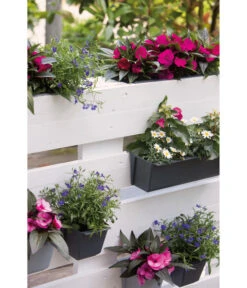 Geli Kunststoff-Pflanzkasten Easy 9 Geli Kunststoff-Pflanzkasten Easy -Gartenleben Verkauf 4314415 4314472 4314530 WE MO 007 GeliKunststoffTopfEasyBlumentopfPflanztopfPalettentopf