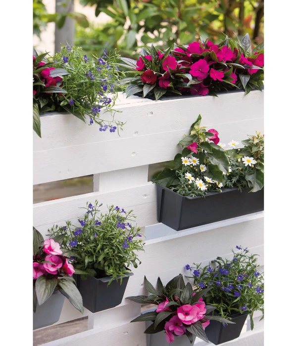 Geli Kunststoff-Pflanzkasten Easy 4 Geli Kunststoff-Pflanzkasten Easy – Bild 2