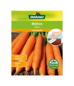 Dehner Samen-Set Easy Going -Gartenleben Verkauf 4322590 WE FS 004 DehnerSamenSaatgutSaemereienSetEasyGoing