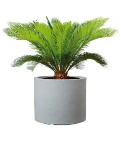 Scheurich Kunststoff-Topf Riva, Rund -Gartenleben Verkauf 4498838 WE FS 002 ScheurichKunststoffTopfRivarund