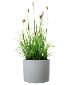 Scheurich Kunststoff-Topf Riva, Rund -Gartenleben Verkauf 4498838 WE FS 003 ScheurichKunststoffTopfRivarund