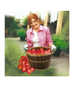 Dehner Gartenkorb -Gartenleben Verkauf 482893 BildM 001 GartenkorbGartenkorbNatGesLa50C