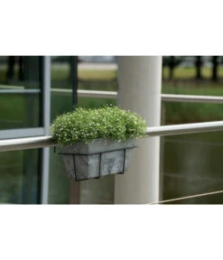 Artstone Kunststoff Blumenkasten Ella -Gartenleben Verkauf 5160486 WE MO 002 KunststoffKastenEllagrau