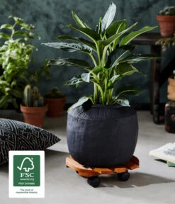 Wagner Pflanzroller Country, Ø 30 Cm 17 Wagner Pflanzroller Country, Ø 30 Cm -Gartenleben Verkauf 5230057 WE MO 002 MULTIROLLERCOUNTRY