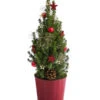Geschmückter Weihnachtsbaum Antik -Gartenleben Verkauf 6201933 WE FS 001 WeihnachtsbaeumchenAntikrot16cm