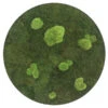 StyleGREEN Bild Aus Wald- Und Kugelmoos, Kreisförmig, Ca. Ø54 Cm -Gartenleben Verkauf 6429757 WE FS 001 Wald KugelmoosbildD54cm