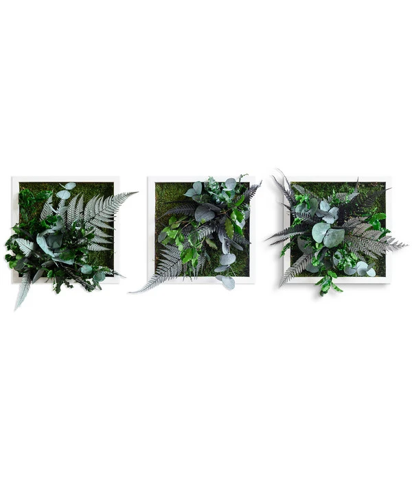 StyleGREEN Bilder-Set Im Dschungeldesign, Quadratisch, 3-teilig 3 StyleGREEN Bilder-Set Im Dschungeldesign, Quadratisch, 3-teilig