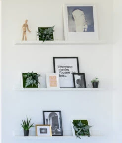 StyleGREEN Bilder-Set Im Dschungeldesign, Quadratisch, 3-teilig 6 StyleGREEN Bilder-Set Im Dschungeldesign, Quadratisch, 3-teilig -Gartenleben Verkauf 6430623 WE MO 001 Pflanzbild22x22cm3erStylegreen