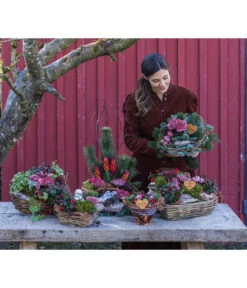 Grabgesteck In Liebe, Herzförmig, Ca. B30/H25/T35 Cm -Gartenleben Verkauf 6462857 WE MO 002 SerieInLiebePremiumAllerheiligen202301