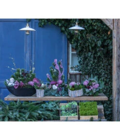 Grabstrauß Unvergessen, Ca. Ø30 Cm 7 Grabstrauß Unvergessen, Ca. Ø30 Cm -Gartenleben Verkauf 6462931 WE MO 001 SerieUnvergessenPremiumAllerheiligen2023