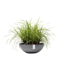 Ecopots Kunststoff-Topf Vienna, Rund, Grau, Ca. Ø50/H18 Cm -Gartenleben Verkauf 6614457 WE FS 003 EcopotsKunststoffTopfViennarundgrau