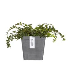 Ecopots Kunststoff-Kasten Manhattan Mit Wassersystem, Grau -Gartenleben Verkauf 6614895 WE FS 003 EcopotsKunststoffTopfManhattanWallSmitWassersystemquadratischgrau