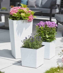 Siena Garden Kunststoff-Säule ECO Nizza, Konisch, Ca. B30/H57/T30 Cm -Gartenleben Verkauf 6655385 WE MO 003 PflanzgefaessNizza30Weiss