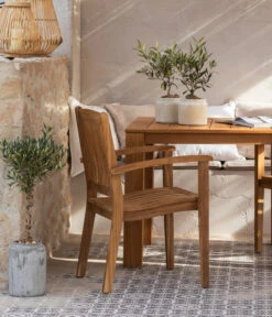 Olive, Stamm, In Keramik, Ca. Ø17/H90 Cm -Gartenleben Verkauf 6657415 WE MO 002 GruppeHavanna