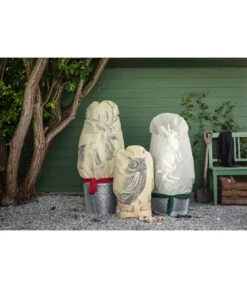 Dehner Pflanzen-Isolierfolie 14 Dehner Pflanzen-Isolierfolie -Gartenleben Verkauf 6702765 3082997 WE MO 005 VlieshaubeHaseBeige